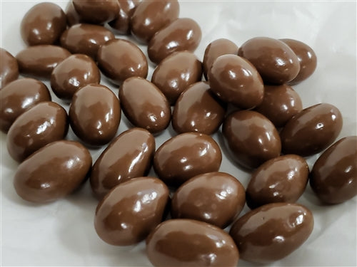 Rakhi 1 lb Chocolate Fruit & Nut Gift Box